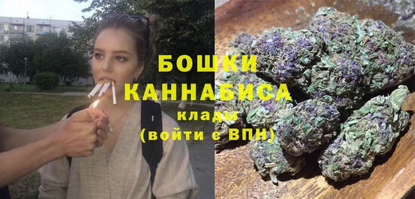 молекула духа Аркадак