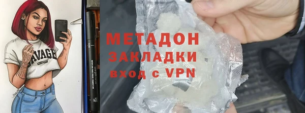 прущие грибы Арсеньев
