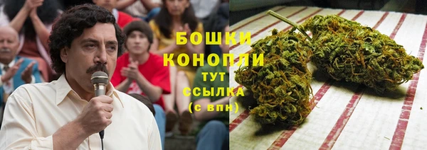 прущие грибы Арсеньев